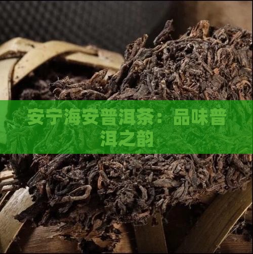 安宁海安普洱茶：品味普洱之韵