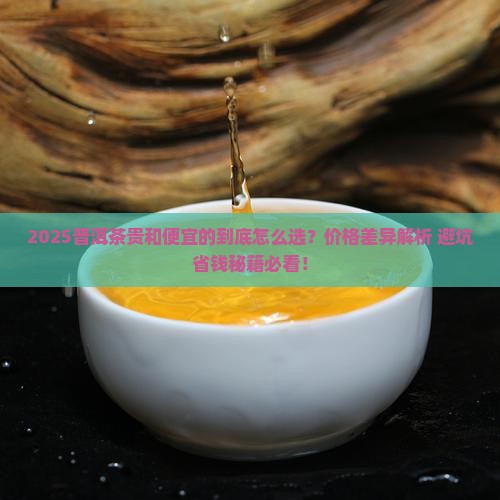 2025普洱茶贵和便宜的到底怎么选？价格差异解析+避坑省钱秘籍必看！