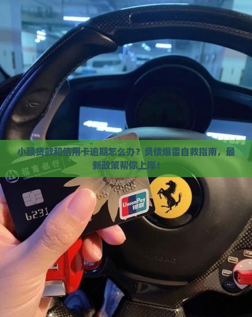 小额贷款和信用卡逾期怎么办