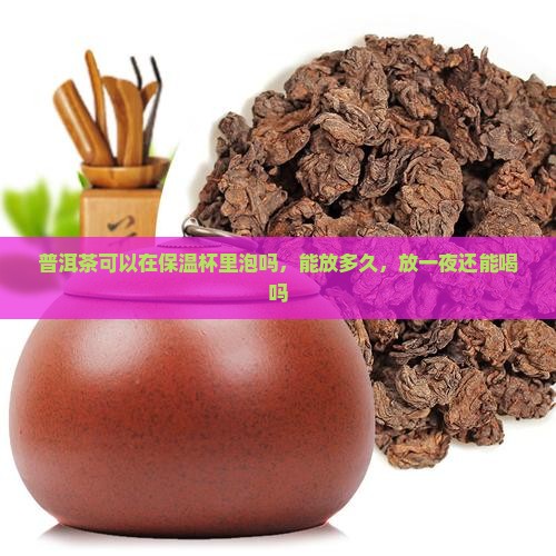 普洱茶可以在保温杯里泡吗，能放多久，放一夜还能喝吗