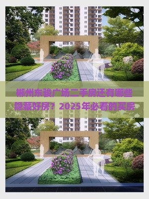 郴州东骏广场二手房还有哪些隐藏好房？2025年必看的买房攻略与避坑指南