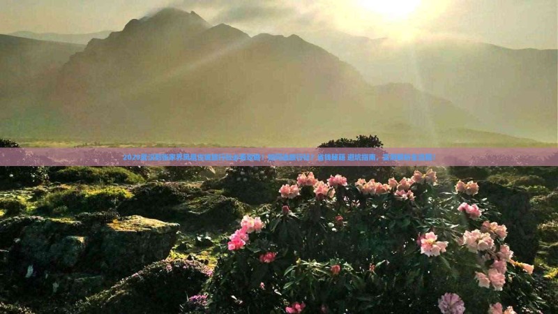 武汉到张家界凤凰古城旅行社