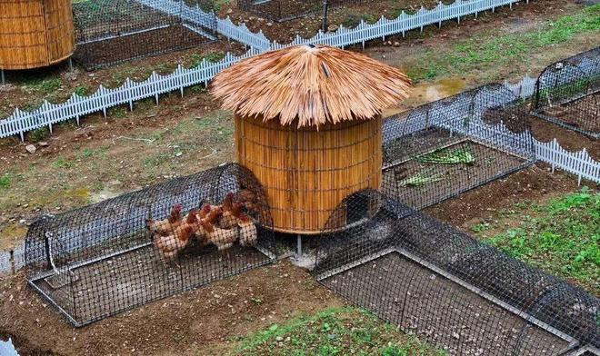 畜牧业创新发展八大模式！浙江这些做法值得关注
