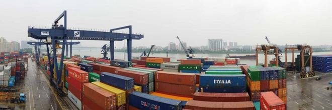 2025年前7个月江门市外贸进出口值增长5.5%