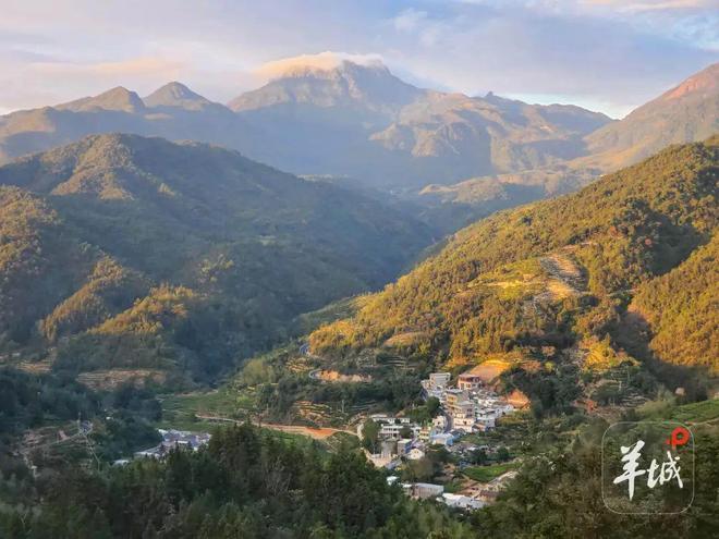 茶香中藏着珍稀“顶流”，原来你是这样的凤凰山！