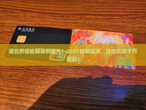 湖北农信逾期案例最新情况