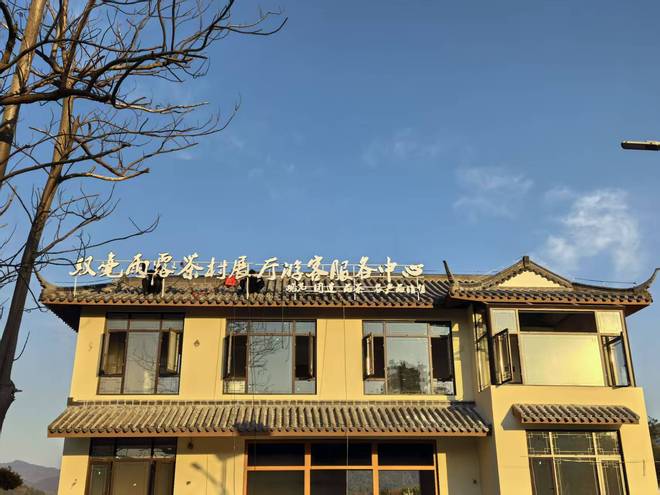 快来！在双毫雨露茶村，开启一场让人心醉的茶香欢乐之旅