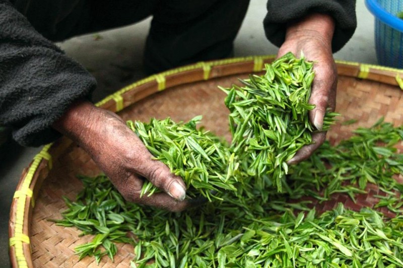 苦苦挣扎求生的茶叶之王？立顿的未来究竟该咋看？