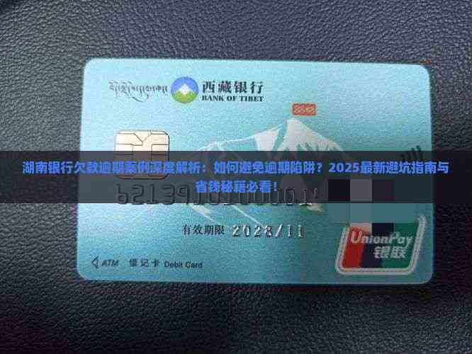 湖南各银行欠款逾期案例分析