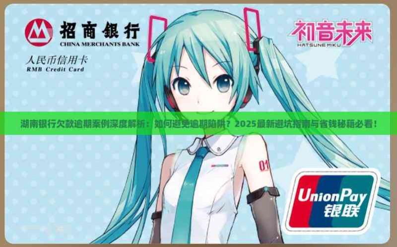 湖南各银行欠款逾期案例分析