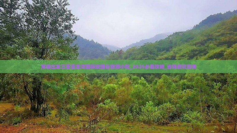 常德出发三亚亚龙湾国际玫瑰谷旅游小吃